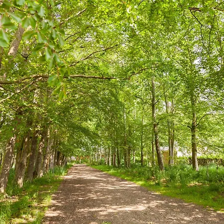 Like House 9 B Hébergement de vacances